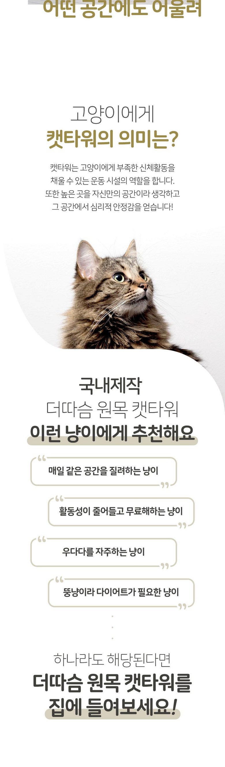 e73eeb02dfaf6a003ad697d5e051f524_1779876419_7287.jpg